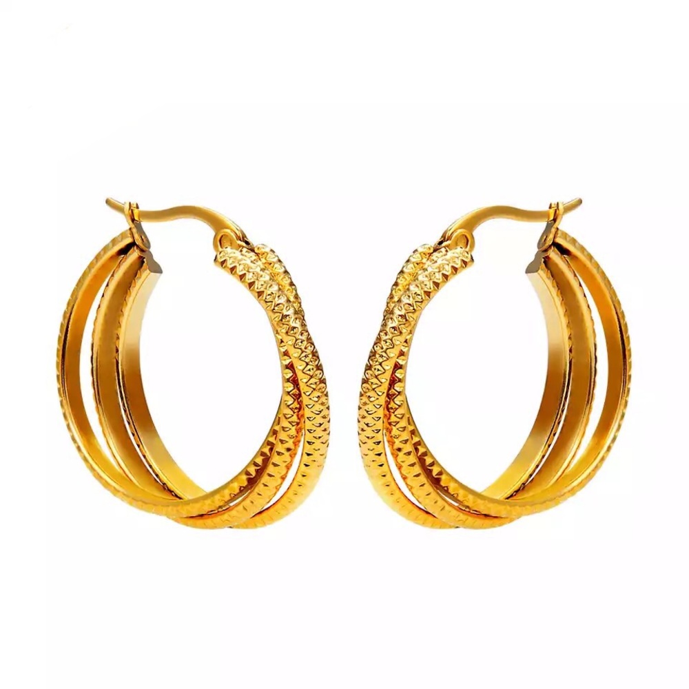 Stainless steel hoop circle twisted earrings - Picture 1 of 6